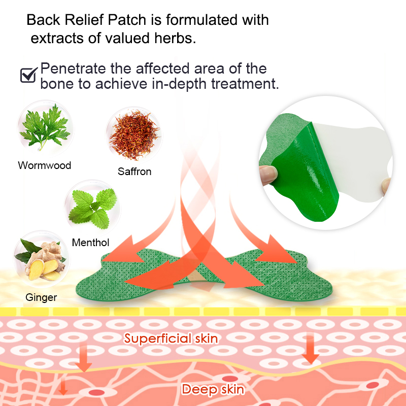 60/6 PCS 요추 통증 패치 쑥 석고 척추증 통증  - Herbal Wellness Patches 리뷰 및 가격